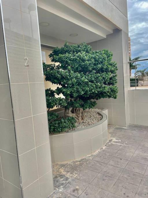Enjoy Apartment Aparcamiento 5 Min De La Playa Calpe Exteriér fotografie